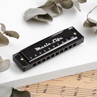 УЦЕНКА Губная гармошка Music Life, диатоническая, C-major, с футляром, черная - Фото 2