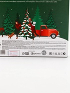 Подарочный набор новогодний: гель для душа, пена для ванны и мочалка, URAL LAB - фото 119073026 Подарочный набор новогодний: гель для душа, пена для ванны и мочалка, URAL LAB - фото 119073026