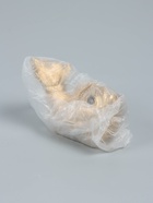 УЦЕНКА Копилка для денег «Рыбка», золотая, 20×12×15 см - Фото 12