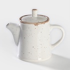 УЦЕНКА Чайник 10.5 см, h=14.5 см, 500 мл «Punto bianca» - Фото 1