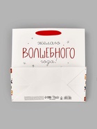 Пакет подарочный ламинированный новогодний «Волшебного года», 22 × 22 × 11 см - фото 118997268 Пакет подарочный ламинированный новогодний «Волшебного года», 22 × 22 × 11 см - фото 118997268