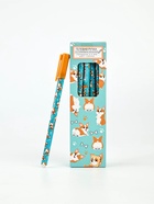 Ручка пиши-стирай, синяя паста, гелевая, 0.5 мм, пластик «Корги» - фото 119551214