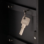 УЦЕНКА Ключница дерево «Птица на ветке» чёрная, зеркальная 6×22.3×29.5 см - фото 14972010