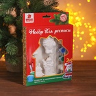 Ёлочные украшения под роспись с подвесом «Чудо», набор 4 шт., кисть - фото 59417206 Ёлочные украшения под роспись с подвесом «Чудо», набор 4 шт., кисть - фото 59417206