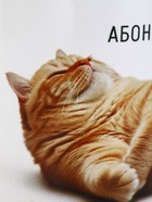 Кружка керамическая «Абонент отдыхает», 320 мл 10881718 - фото 319943545 Кружка керамическая «Абонент отдыхает», 320 мл 10881718 - фото 319943545