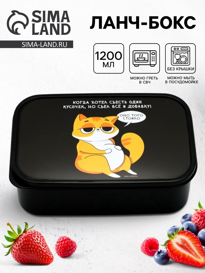 Ланч - бокс прямоугольный «Кот», 1200 мл - Фото 1