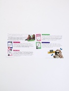 Настольная игра для тигриц "Women момэнт" - фото 809340575