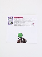 Настольная игра для тигриц "Women момэнт" - фото 809340576