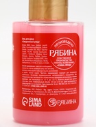 Подарочный набор новогодний «Время волшебства», гель для душа 2 шт. и мочалка для тела, URAL LAB - фото 119073070 Подарочный набор новогодний «Время волшебства», гель для душа 2 шт. и мочалка для тела, URAL LAB - фото 119073070