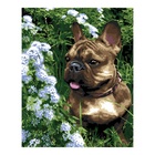 УЦЕНКА Картина по номерам холст на подрамнике 40×50 см «На летней прогулке» Рх-111 - Фото 1