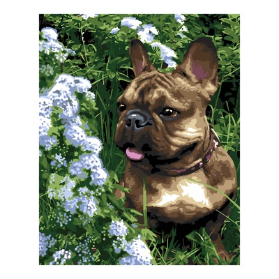 УЦЕНКА Картина по номерам холст на подрамнике 40×50 см «На летней прогулке» Рх-111