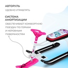 УЦЕНКА Снегокат «Тимка спорт 1+» с бабочками, ТС1+/Б Nika Kids 10954199 УЦЕНКА Снегокат «Тимка спорт 1+» с бабочками, ТС1+/Б Nika Kids 10954199