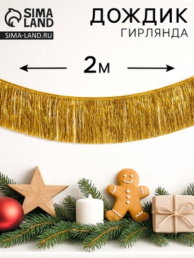Гирлянда «Бахрома», 2 метра, золотая
