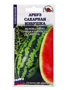 Семена Арбуз «Сахарная избушка», 0.5 г, «Золотая Сотка Алтая» - Фото 5