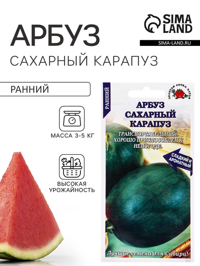 Семена Арбуз «Сахарный Карапуз», 0.5 г, раннеспелый, «Золотая Сотка Алтая»