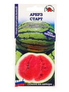 Семена Арбуз «Старт», 5 шт., ультраскороспелый, полосатый «Золотая Сотка Алтая» - Фото 5