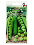 Семена Горох «Чудо Алтая», 10 г, раннеспелый, «Золотая Сотка Алтая» - фото 809307061