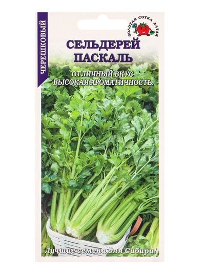 Семена Сельдерей черешковый «Паскаль», 0.5 г, холодоустойчивый, «Золотая Сотка Алтая»