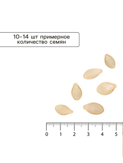 Семена Кабачок цуккини «Ананасный», 2 г, скороспелый, «Золотая Сотка Алтая»
