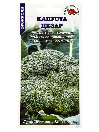 Семена Капуста «Цезар», 0.3 г, среднеранняя, «Золотая Сотка Алтая»