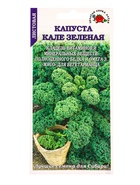 Семена Капуста Кале зелёная листовая /Сотка/ 0,3г/ выс. 60-80см/*1200 - фото 809307163