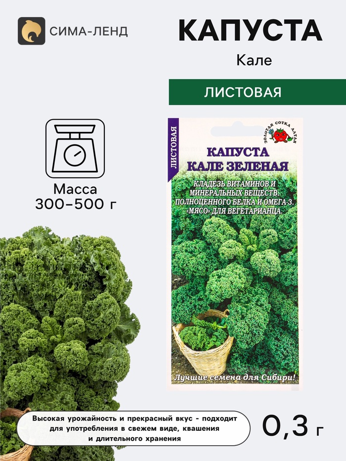 Семена Капуста «Кале зелёная листовая», 0.3 г, «Золотая Сотка Алтая» - Фото 1