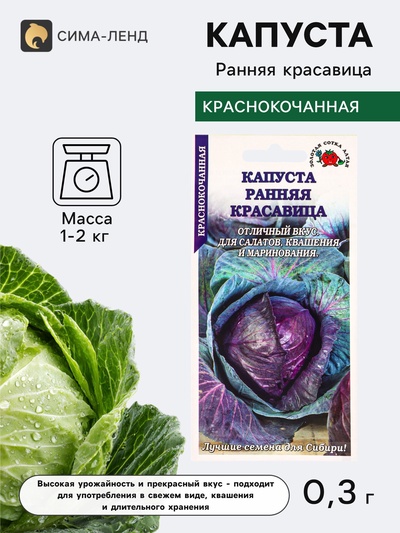 Семена Капуста краснокочанная «Ранняя красавица», 0.3 г, раннеспелая, «Золотая Сотка Алтая»