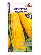 Семена Кукуруза «Медовая сахарная», 5 г, «Золотая Сотка Алтая» - фото 809307179