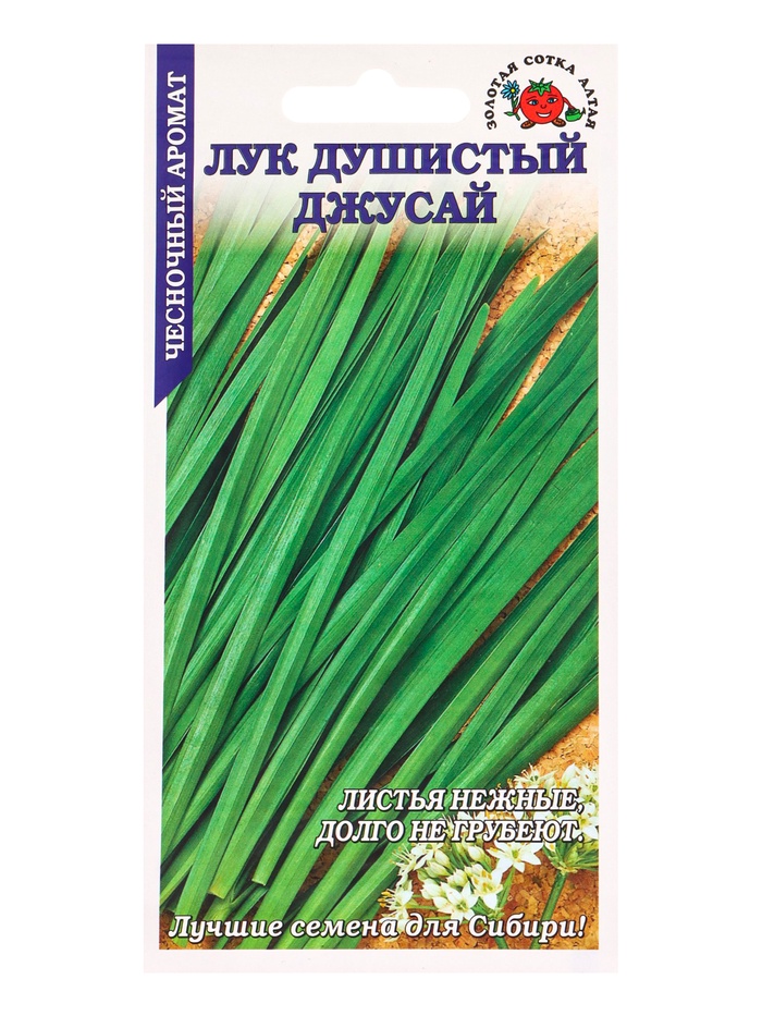 Семена Лук душистый «Джусай», 0.3 г, среднеспелый, «Золотая Сотка Алтая» - Фото 1