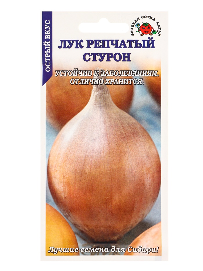 Семена Лук Стурон /Сотка/ 1г/ срендепозд. 80-100г./*800 - Фото 1