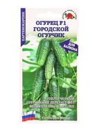 Семена Огурец «Городской огурчик», F1, 0.15 г, партенокарпический, «Золотая Сотка Алтая» - фото 809307213