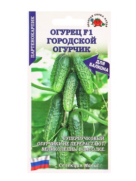 Семена Огурец «Городской огурчик», F1, 0.15 г, партенокарпический, «Золотая Сотка Алтая»