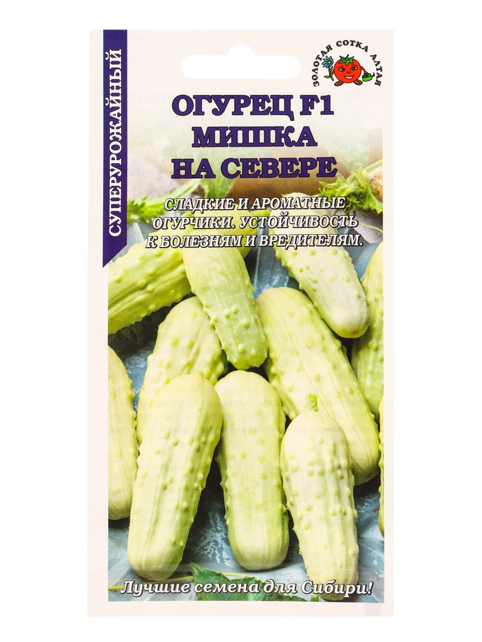 Семена Огурец «Мишка на севере», 0.3 г, белый, «Золотая Сотка Алтая» - Фото 1