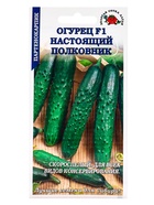 Семена Огурец «Настоящий полковник», F1, 0.15 г, партенокарпический, раннеспелый, «Золотая сотка Алтая» - фото 809307217