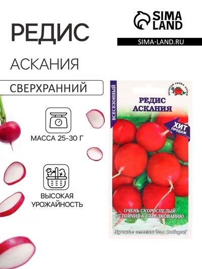 Семена Редис «Аскания», 1 г, скороспелый, «Золотая Сотка Алтая»