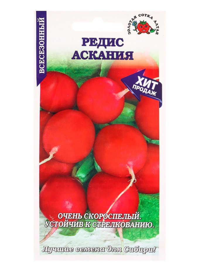 Семена Редис «Аскания», 1 г, «Золотая Сотка Алтая» - Фото 1