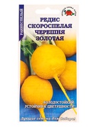 Семена Редис «Скороспелая Черешня Золотая», 1 г, «Золотая сотка Алтая» - фото 809307267