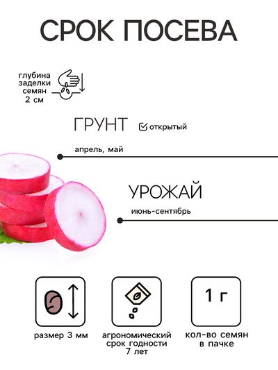 Семена Редис «Скороспелая черешня», 1 г, фиолетовый, «Золотая Сотка Алтая»