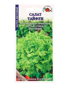 Семена Салат Тайфун /Сотка/ 0,5г/ среднесп. листов. зелен. h-20см d-27см/*1500