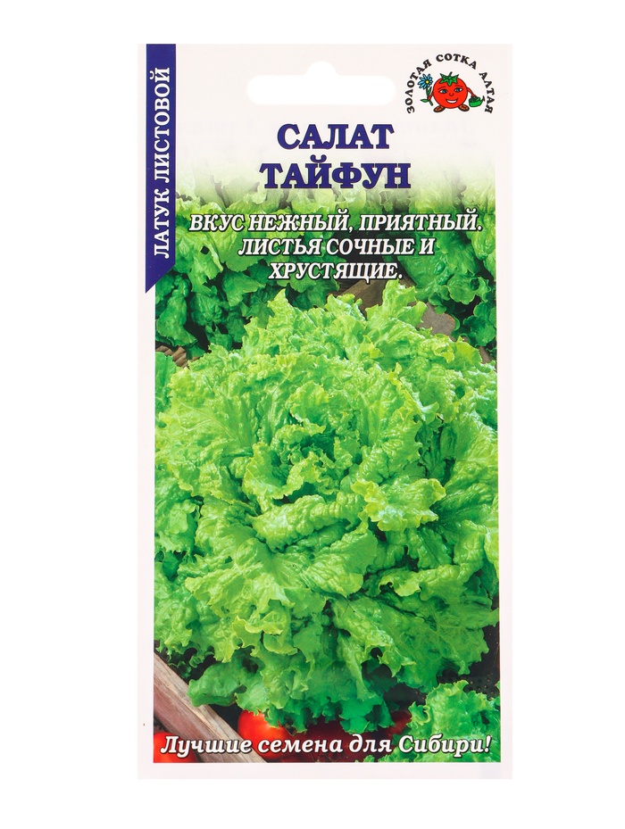 Семена Салат Тайфун /Сотка/ 0,5г/ среднесп. листов. зелен. h-20см d-27см/*1500 - Фото 1