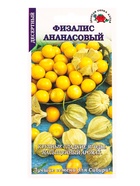 Семена Физалис «Ананасовый», ранний, 0.1 г, «Золотая Сотка Алтая» - Фото 1