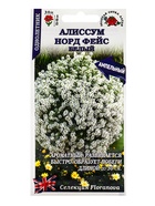Семена Алиссум «Норд фейс белый», 0.01 г, «Золотая Сотка Алтая» - фото 809307433