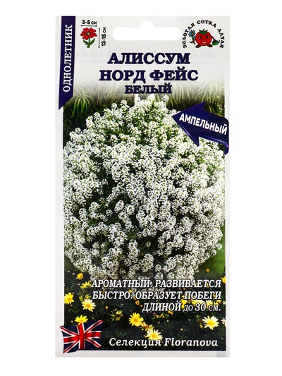 Семена Алиссум «Норд фейс белый», 0.01 г, «Золотая Сотка Алтая»