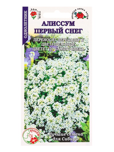 Семена Алиссум «Первый снег», 0.05 г, 1500 шт., «Золотая Сотка Алтая»