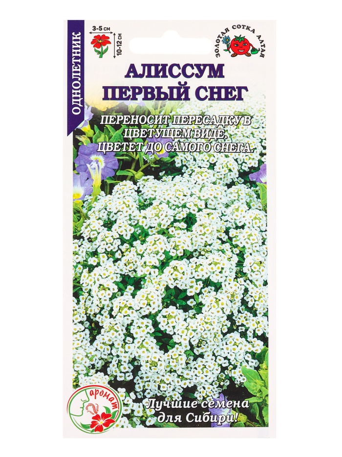 Семена Алиссум «Первый снег», 0.05 г, 1500 шт., «Золотая Сотка Алтая» - Фото 1