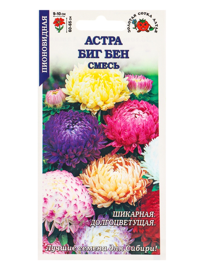 Семена Астра Биг Бен смесь /Сотка/ 0,2г/ пион. h-65см, d-10см/*1500 - Фото 1