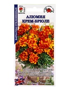 Семена Бархатцы «Алюмия Крем-Брюле», F1, 10 шт., «Золотая Сотка Алтая» - фото 809307465
