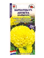Семена Бархатцы «Антигуа Праймроуз», F1, 5 шт., «Золотая Сотка Алтая» - фото 809307469