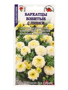 Семена Бархатцы «Взбитые Сливки», прямостоячие, 0.1 г, «Золотая Сотка Алтая» (комплект 2 шт) - фото 60870863