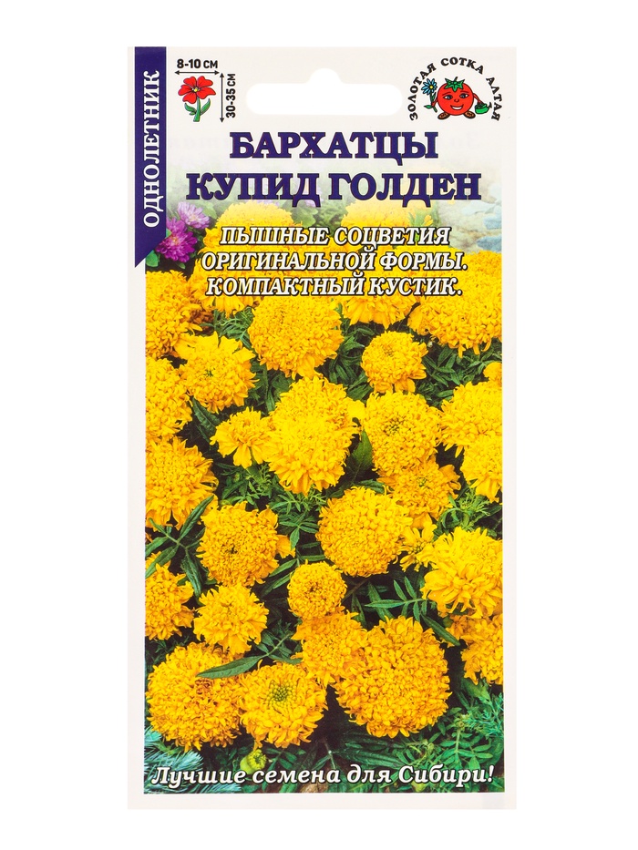 Семена Бархатцы «Купид Голден», 0.1 г, прямостоячие, «Золотая Сотка Алтая» - Фото 1